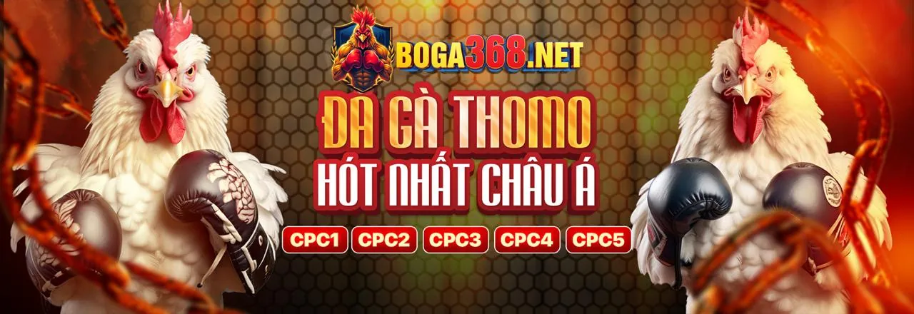 Tầm nhìn và sứ mệnh phát triển của BL555