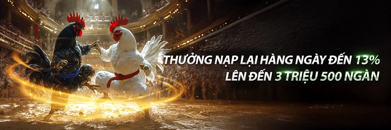 Giao diện đăng nhập BL555 an toàn và hấp dẫn