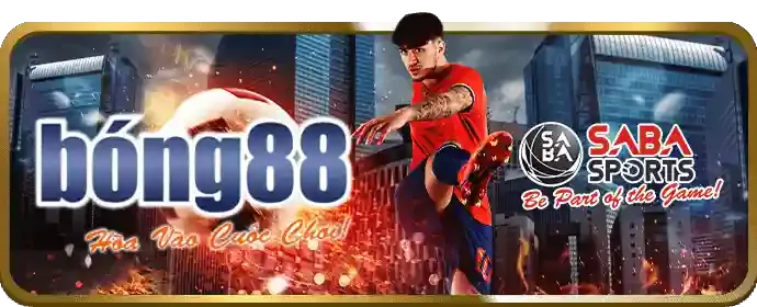 Ví điện tử bl555